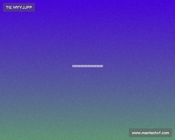 西甲联赛球员体能恢复策略与训练方法研究分析