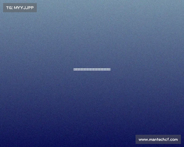 欧冠主场球迷激情助威，见证球队荣耀时刻的背后故事